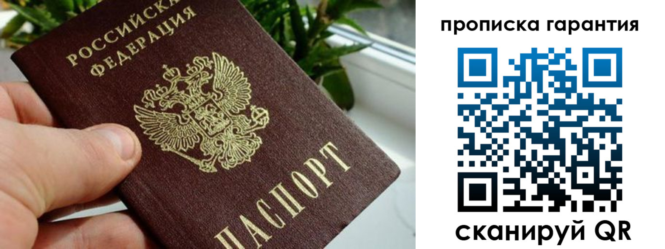 найти адрес прописки в Балашихе
